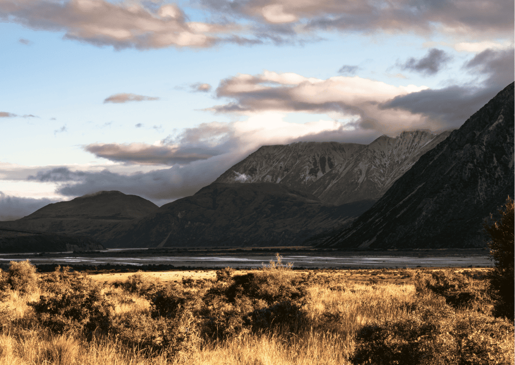 Andrews Shelter campsite in Arthur's Pass