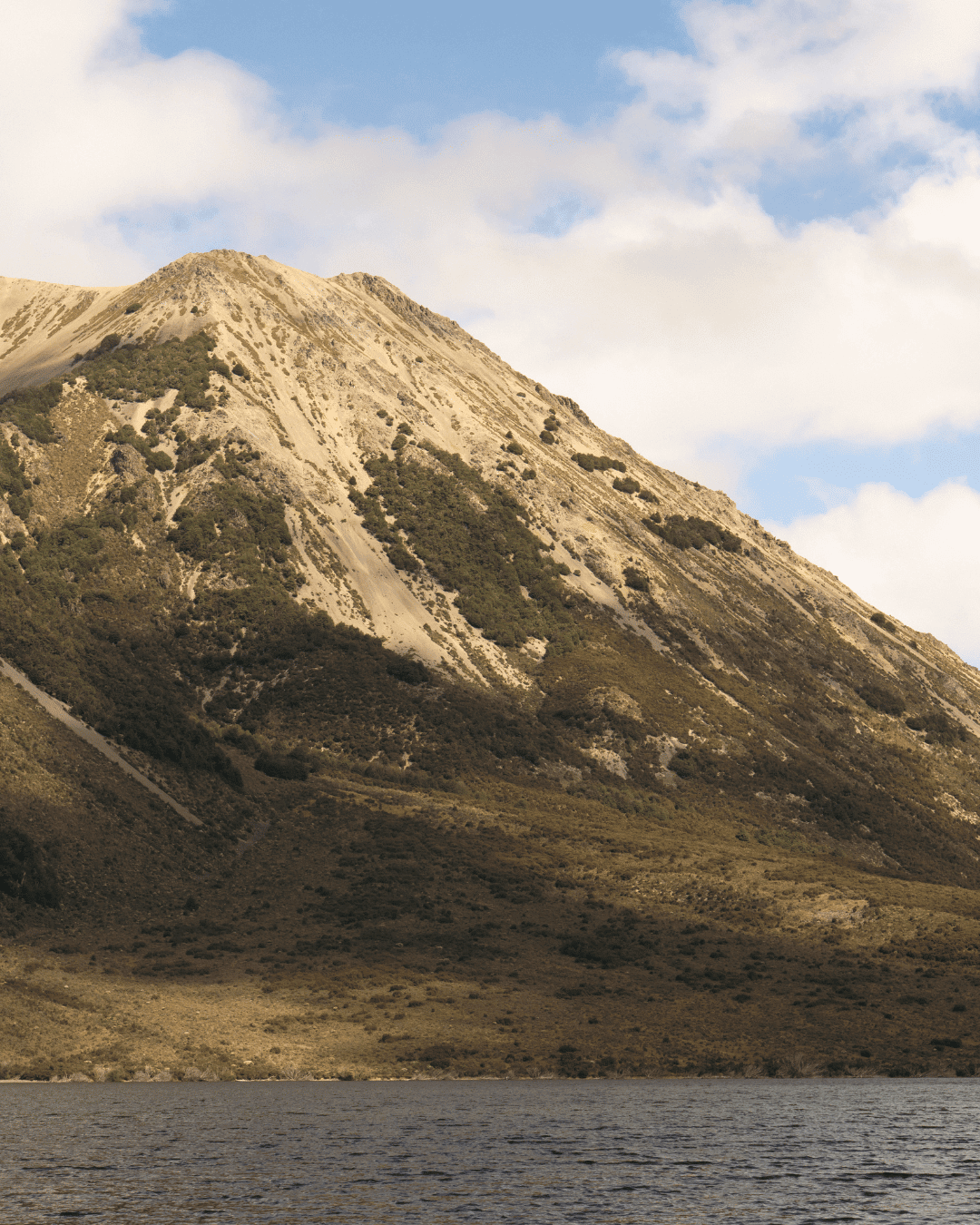 Arthur's pass day trip