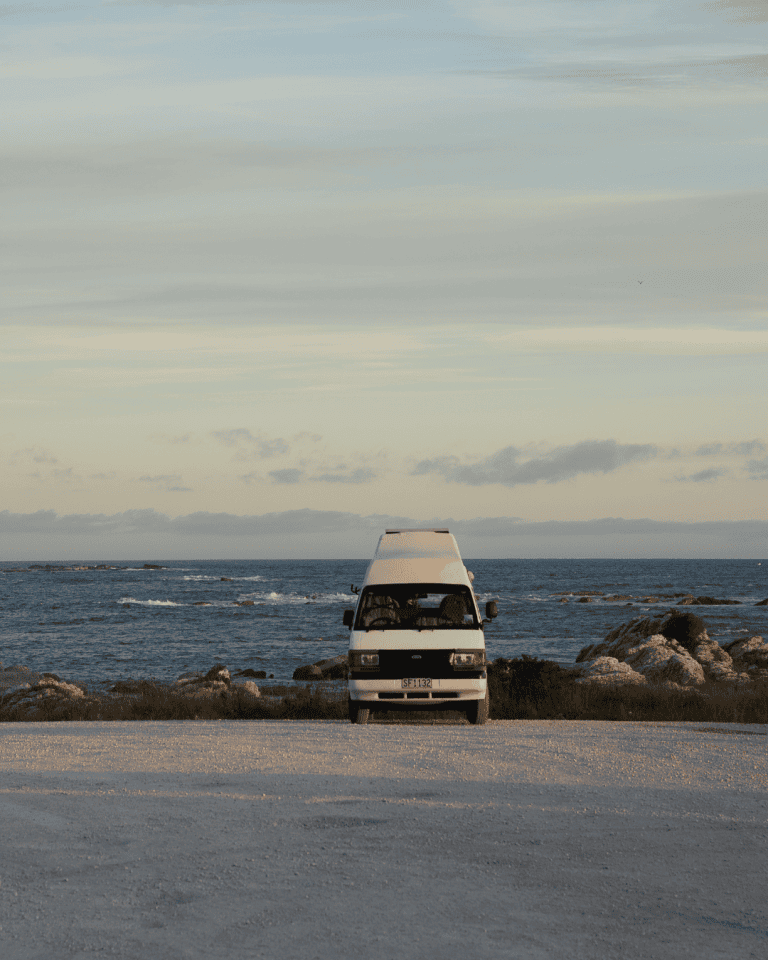 New Zealand Working Holiday visa