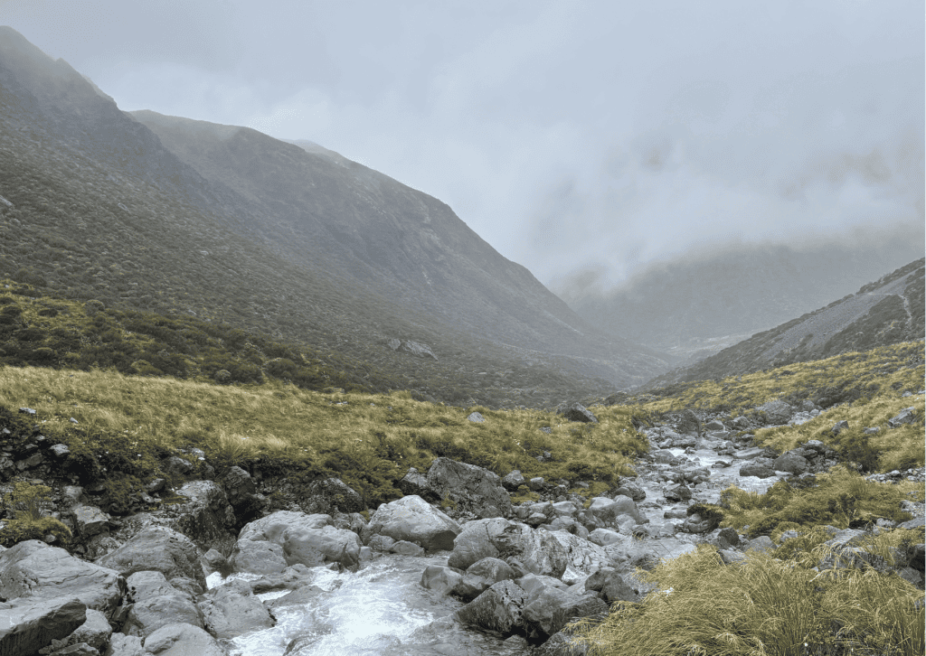 Otira Valley Track through the Southern Alps