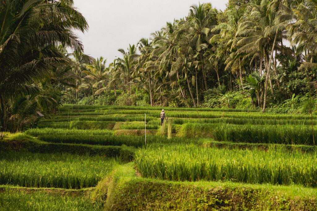 Stopover in bali indonesia
