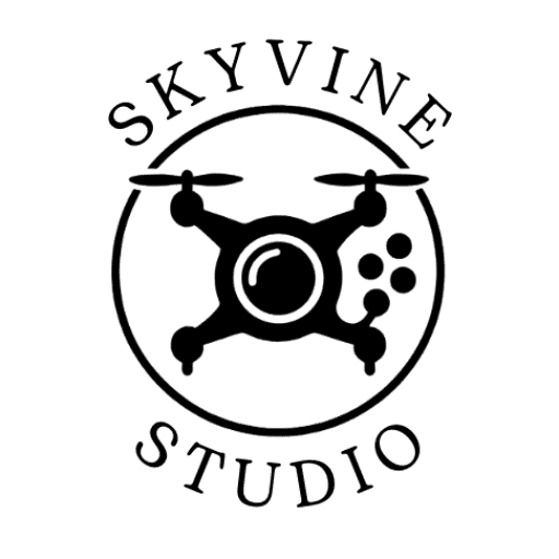 logo skyvine studio