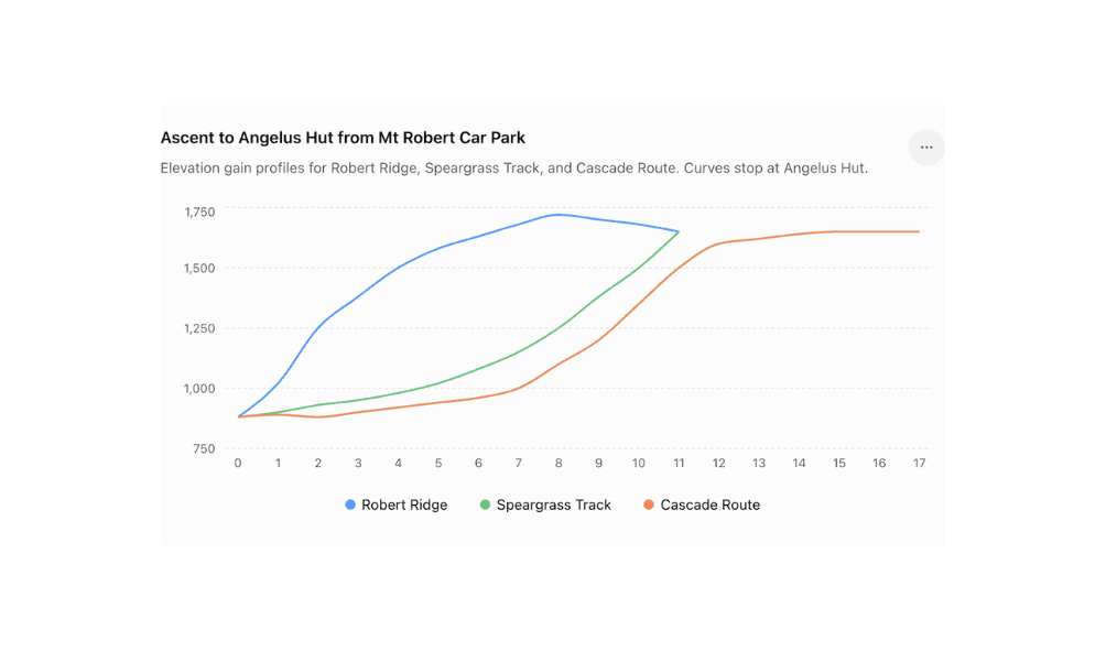 Route options for the Angelus Hut hike
