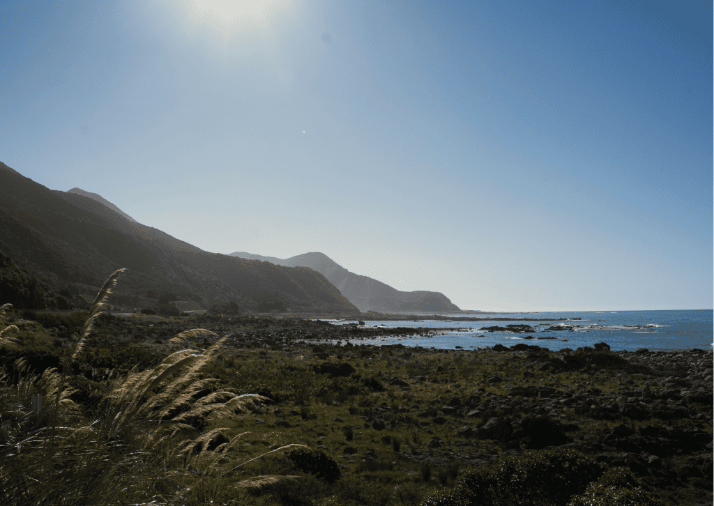 The Picton to Kaikoura coastal road trip in New Zealand