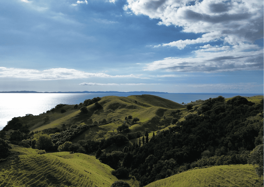 Remote New Zealand road with sweeping mountain views