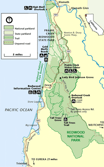 Towering coast redwoods in Redwood National Park, free to visit