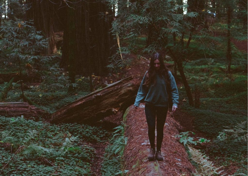Standing on a fallen giant redwood trunk in the forest