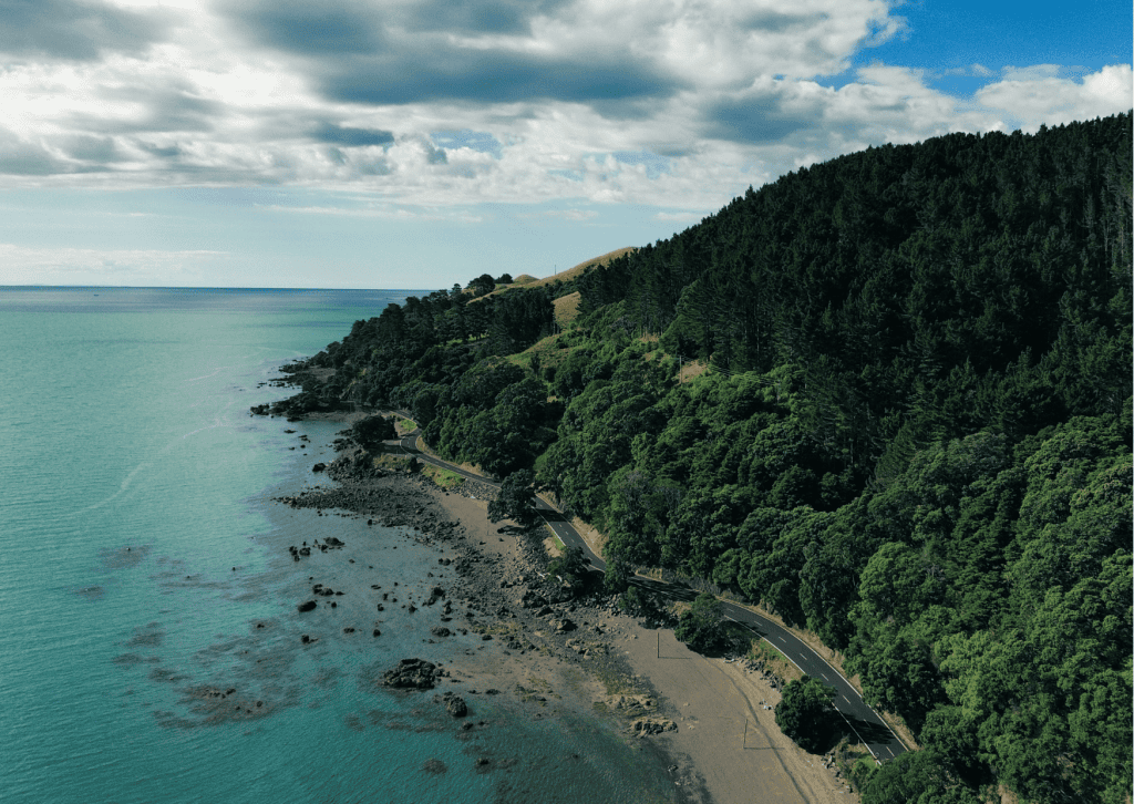 Scenic North Island viewpoint in Coromandel on a Working Holiday visa