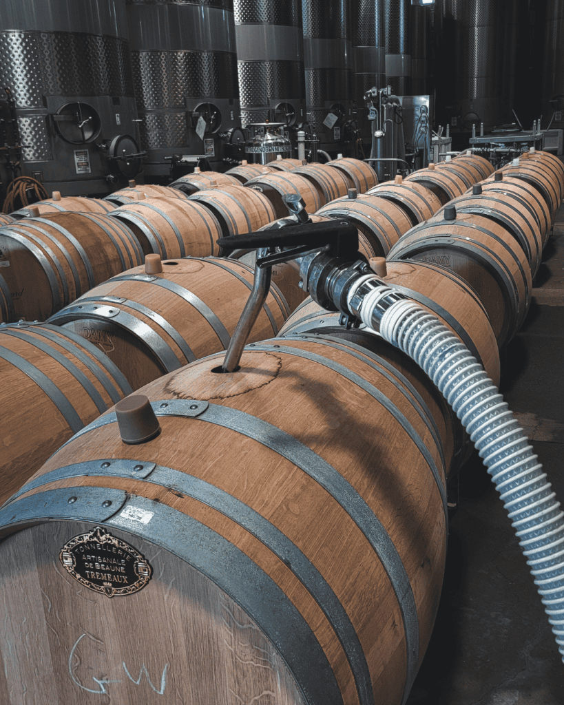 Vineyard work during the US harvest season
