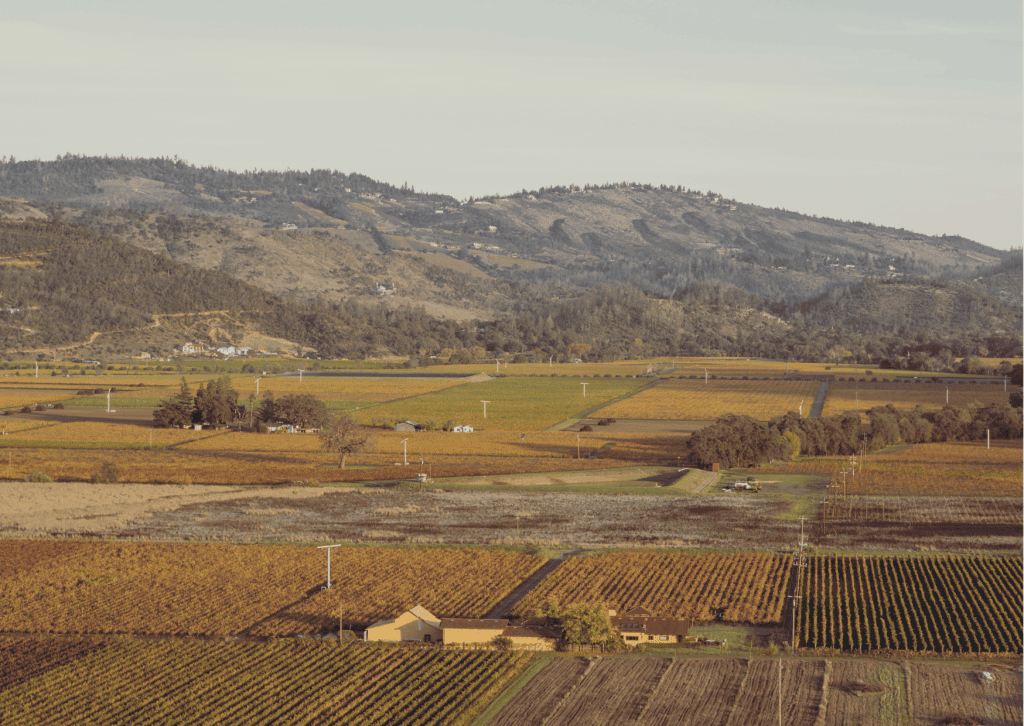 J1 visa for working the US grape harvest