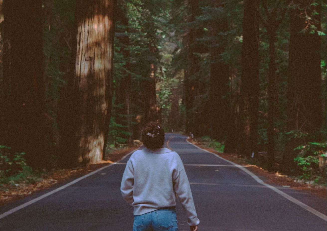 Redwood National Park