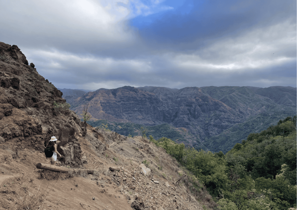 Canyon Trail leading to Waipoo Falls in Waimea Canyon