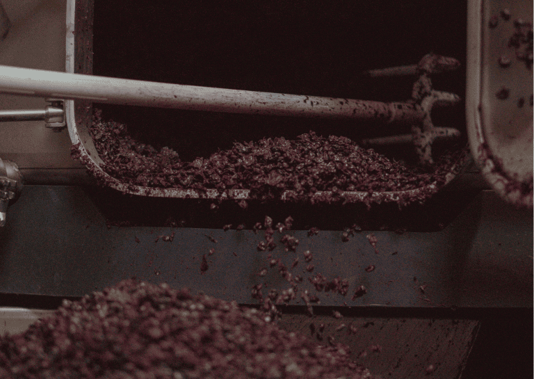 J1 visa for working the US grape harvest