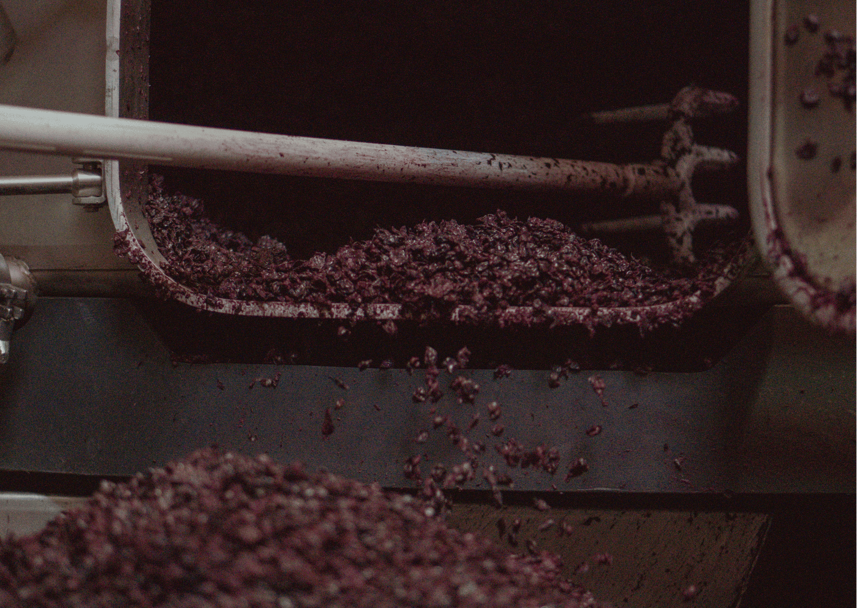 J1 visa for working the US grape harvest