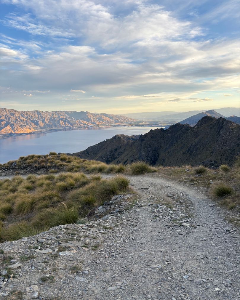 Hiker on the Isthmus Peak track, New Zealand