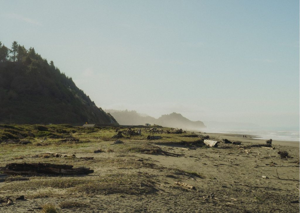 Redwood Creek Beach County Park on the Northern California coast