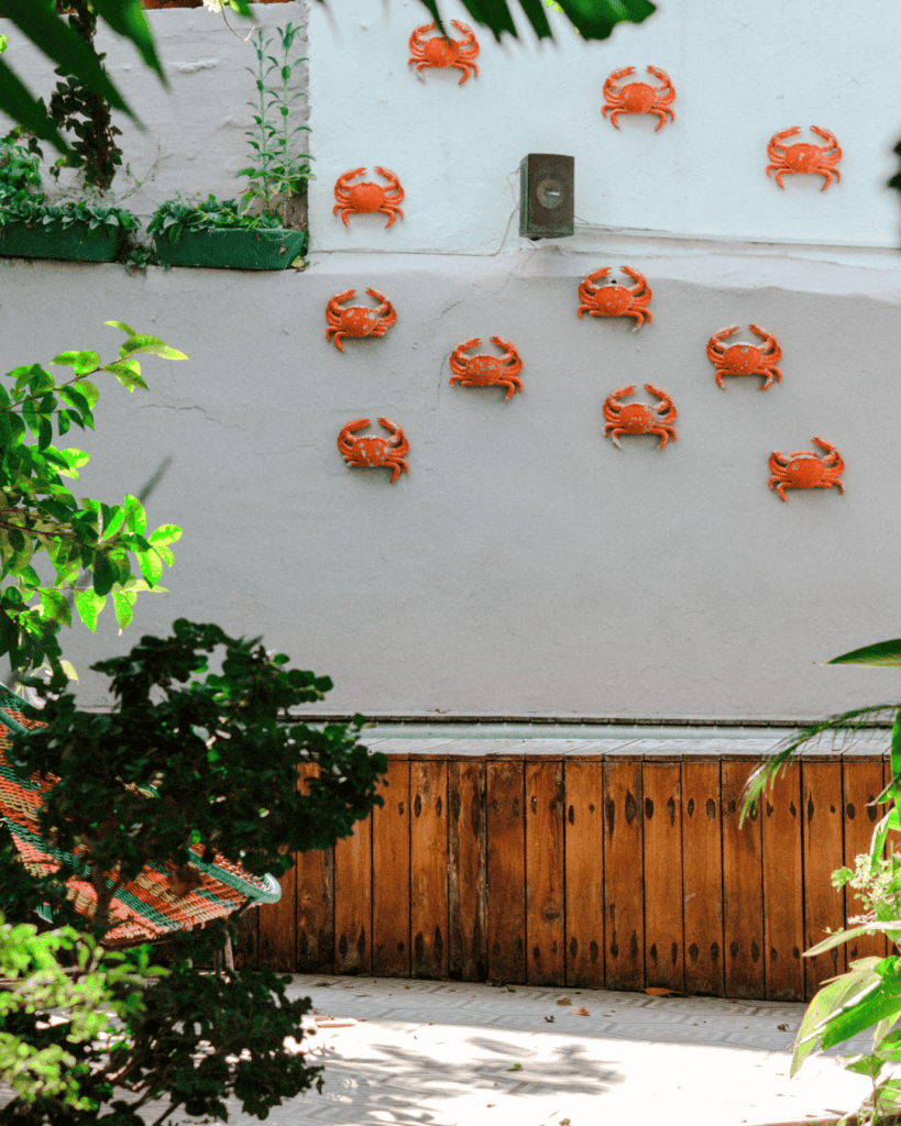 Accommodation in the heart of Sayulita