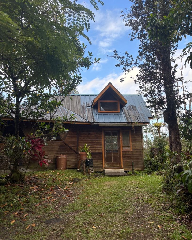 A small wooden cabin with a corrugated metal roof standing in a jungle clearing