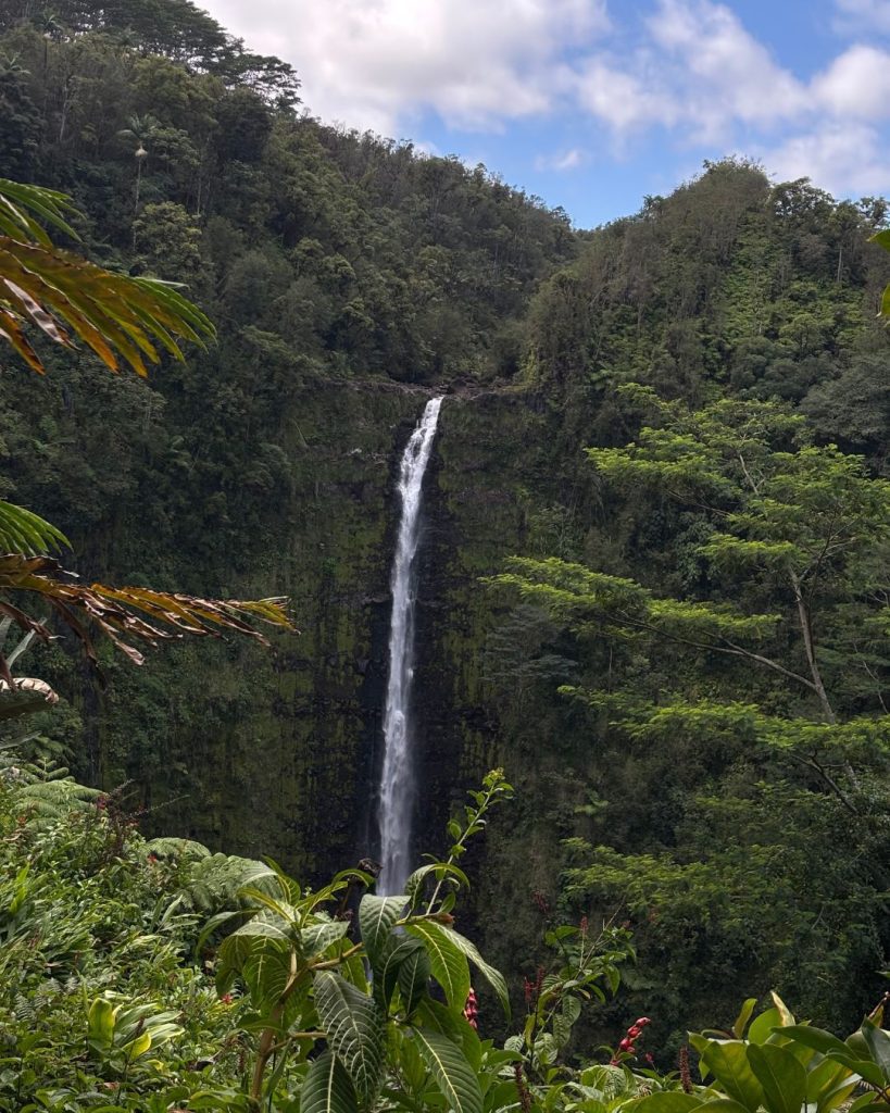 Akaka Falls dropping in a single thin ribbon into a green gorge