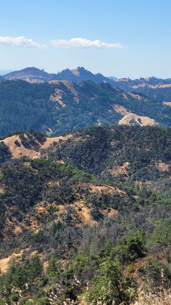 View over forested ridges and hills from the top of the Bald Hill trail