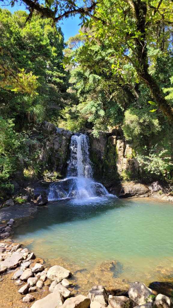 Waiau Falls on the 309 Road, a small waterfall cascading over rocks into a pool surrounded by native New Zealand bush