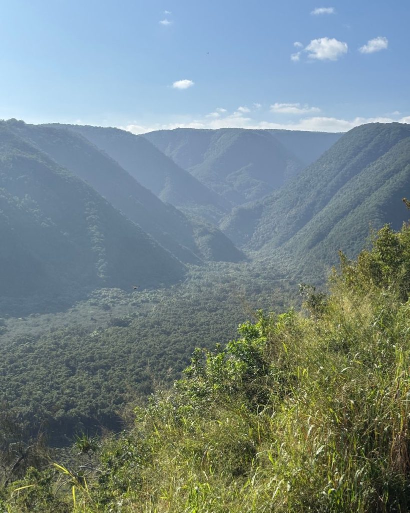 The steep green walls of Pololu Valley seen from the trail above