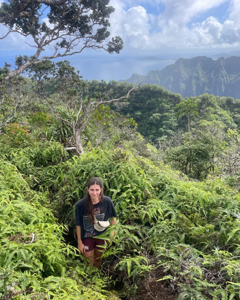 Hiker crouching in dense ferns on a narrow section of the Kuliouou Ridge Trail with green mountains behind