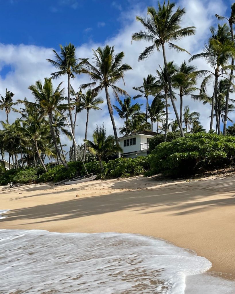 Palm tree lined beach at Laniakea with gentle waves washing onto the sand, a small building visible among the trees