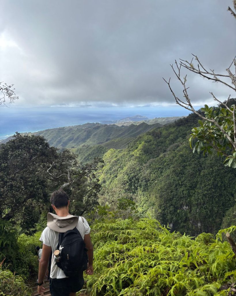 Hiker looking out over a lush green valley and ridgeline toward misty mountains on a cloudy day