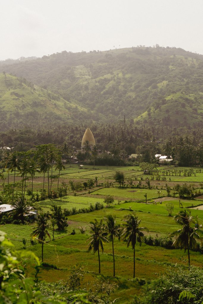 Rice fields and palm trees below forested hills in Lombok, seen from the coast road