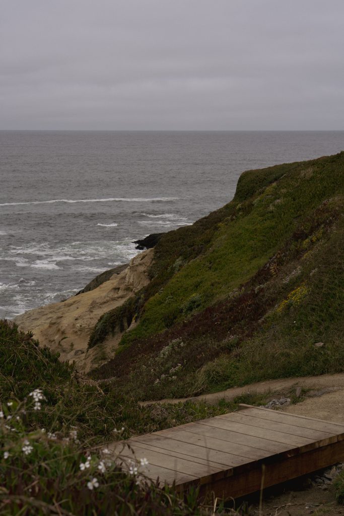 Grassy cliffs dropping down to the Pacific along Highway 1 near Jenner