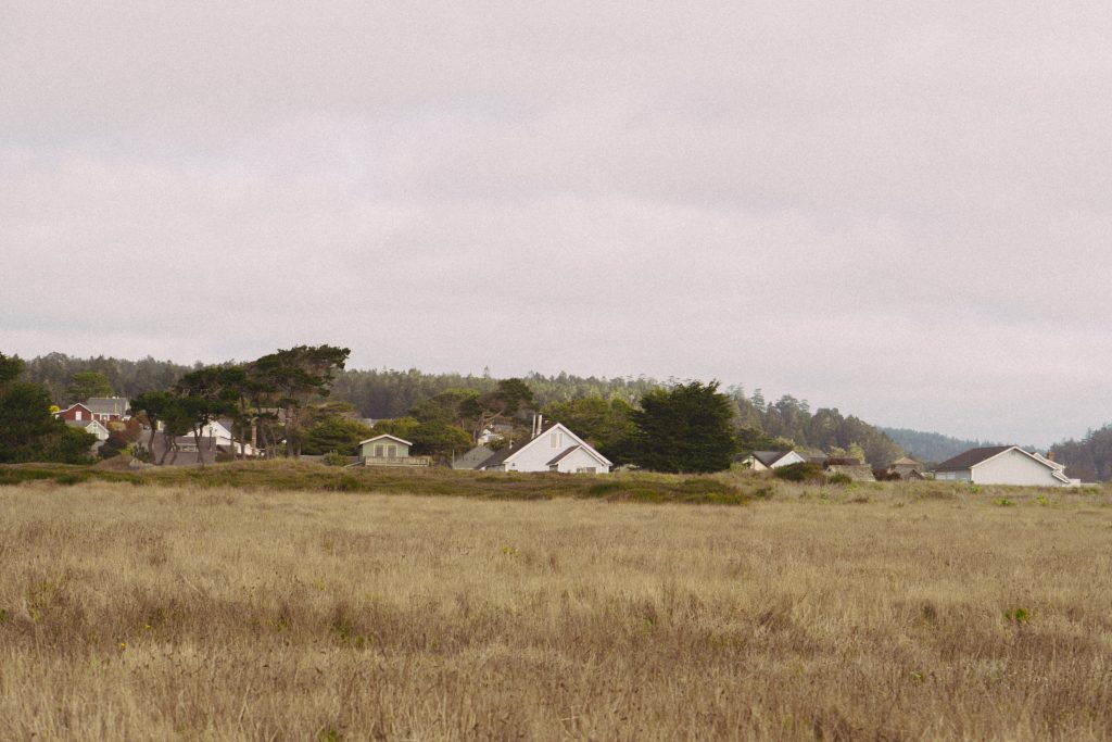 Grassland and the village of Mendocino seen from the headlands