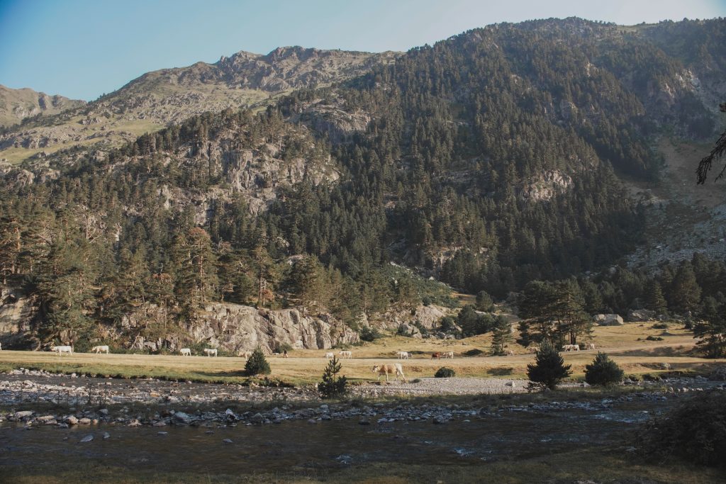 Mountain landscape with a mountain stream in the foreground and a car park at the foot of the peaks, the starting point of the hike to Marcadau.
