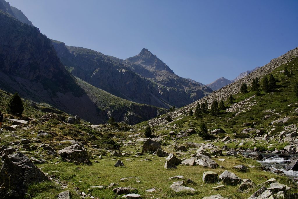 Green mountain valley with a stream, scattered pine trees, and rocky peaks