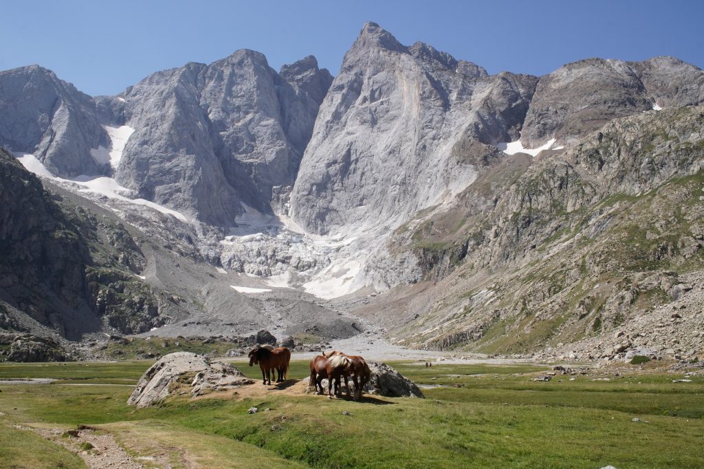 Horses grazing in a meadow below a rocky mountain massif with snow patches near the Refuge des Oulettes de Gaube