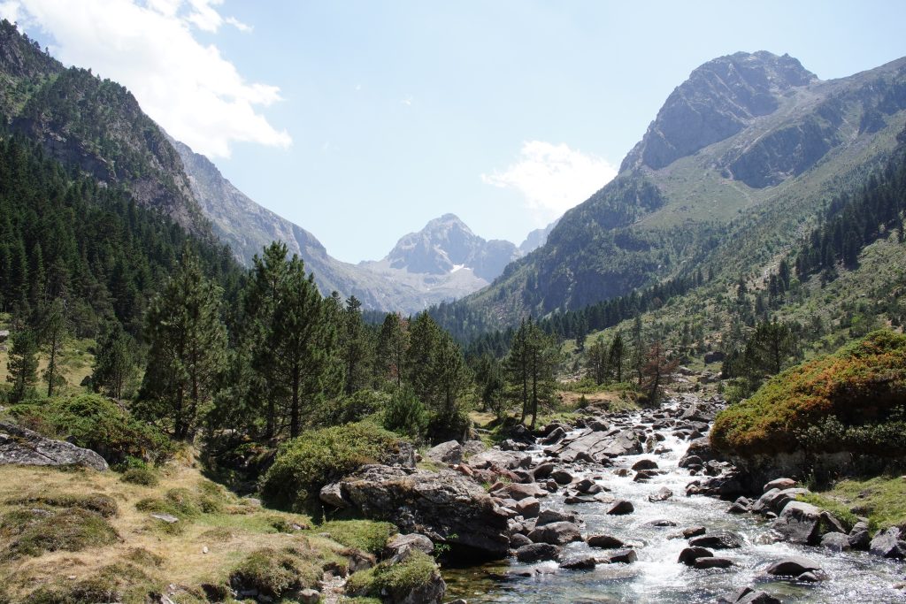 Forested valley with a rocky mountain stream and peaks in the background near La Fruitière
