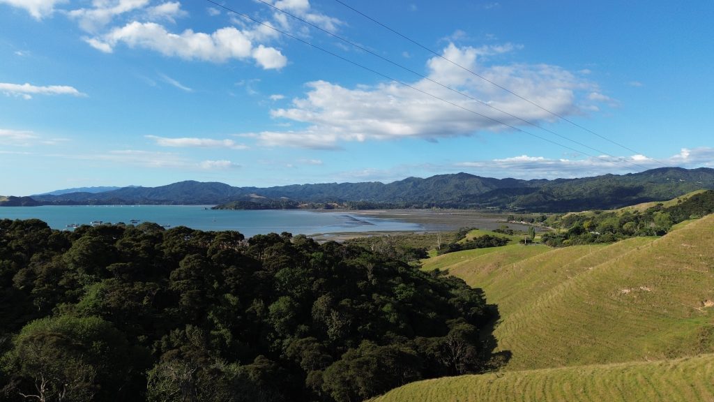 Rolling green farmland and native bush overlooking a coastal bay in the Coromandel, near the accommodation options