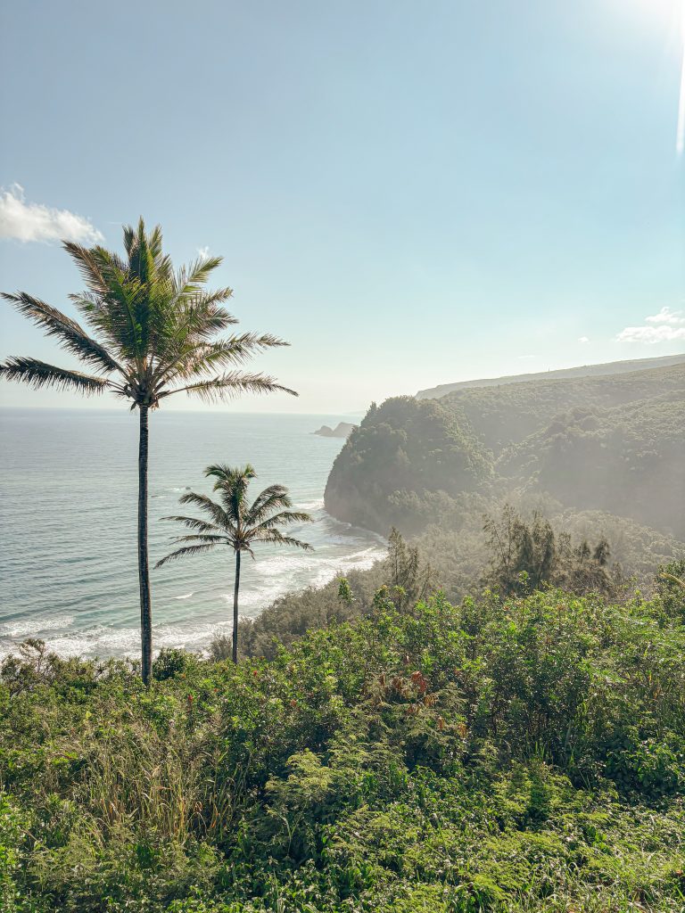 Two tall palm trees framing a view of green sea cliffs and the ocean on the north coast of the Big Island