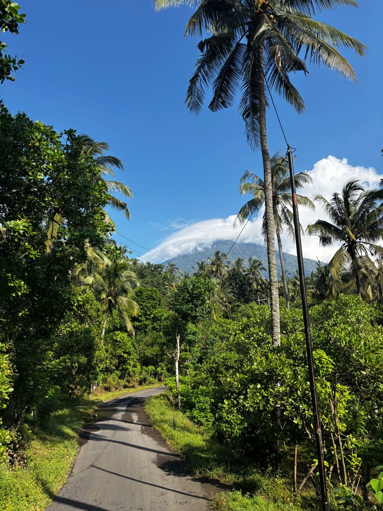 Palm-lined jungle road near Amed with Mount Agung rising in the distance under a blue sky