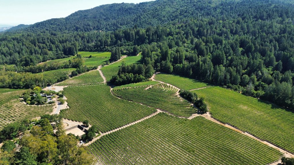 Aerial view of vineyards surrounded by forest at Jack London State Historic Park in Glen Ellen