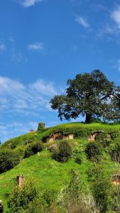 One Week in New Zealand’s North Island: The Route I’d Actually Do