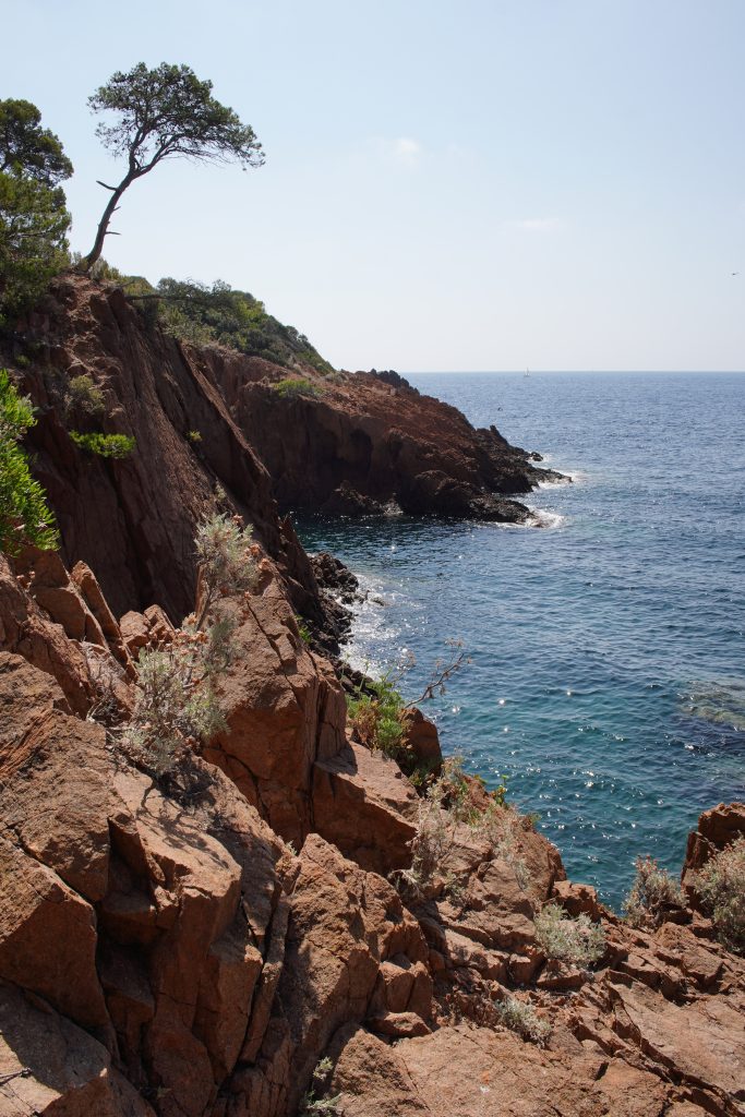 Red porphyry cliffs and a lone pine above the blue sea on the Esterel coast