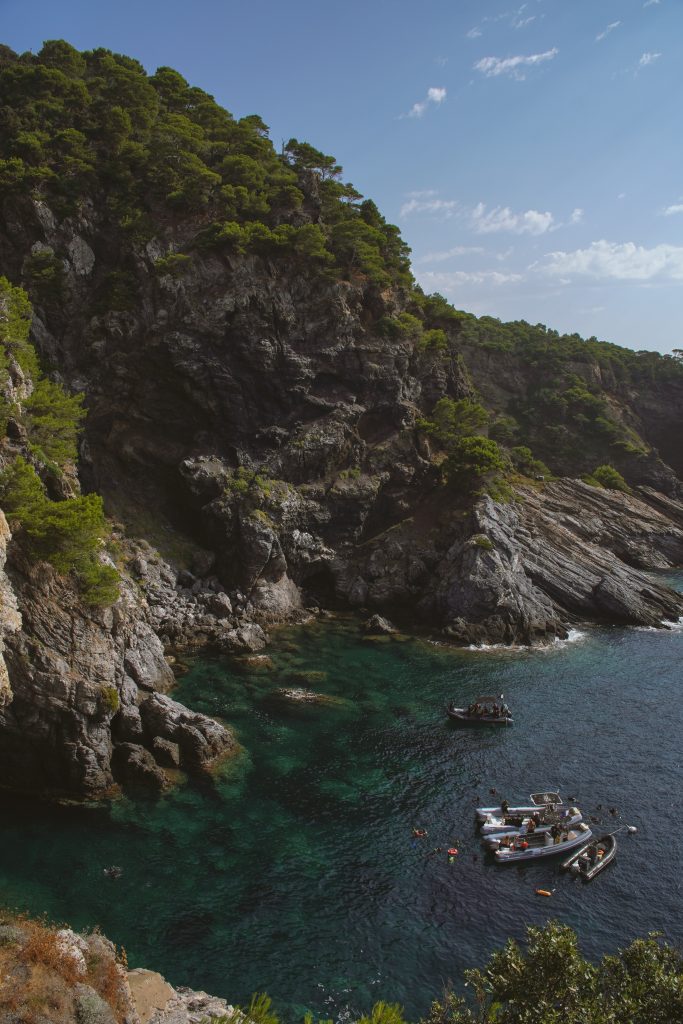 Pine-covered cliff dropping straight into clear green water on the Presqu'ile de Giens